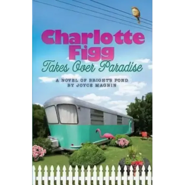 Charlotte Figg Takes Over Paradise: A Novel of Bright's Pond