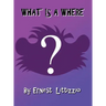 What Is a Where?