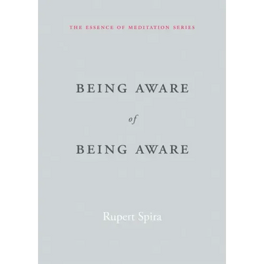 Being Aware of Being Aware