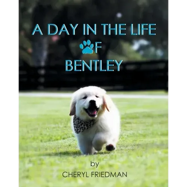 A Day in the Life of Bentley