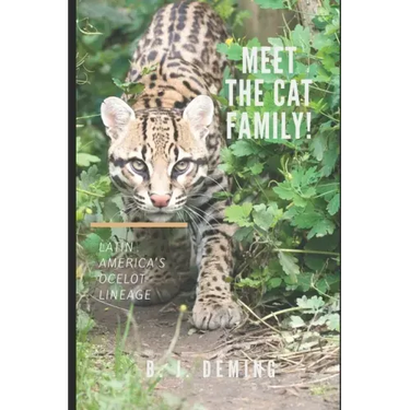 Meet the Cat Family!: Latin America's Ocelot Lineage