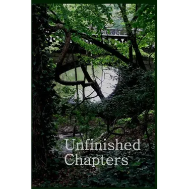 Unfinished Chapters