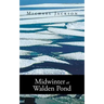 Midwinter at Walden Pond