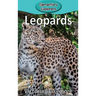 Leopards
