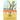 Money Talks: Life Lessons to Help You Plan Now, Save Wisely, And Retire Well