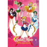 Sailor Moon: Trivia Quiz Book