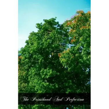 The Priesthood And Perfection