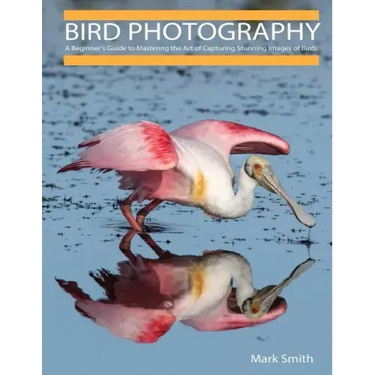 Bird Photography: A Beginner's Guide to Mastering the Art of Capturing Stunning Images of Birds