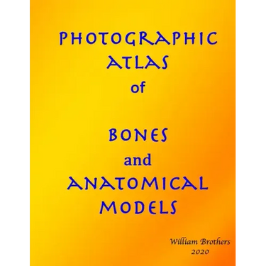 Photographic Atlas of Bones and Anatomical Models