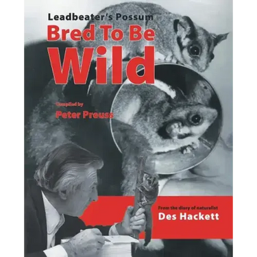 Leadbetter's Possum: Bred to Be Wild