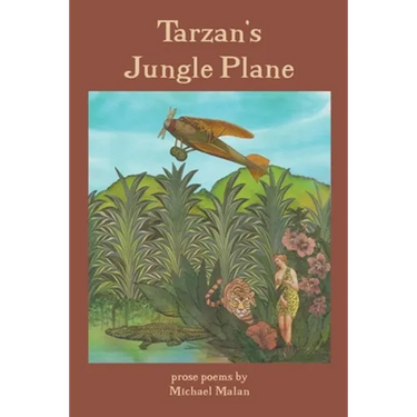 Tarzan's Jungle Plane