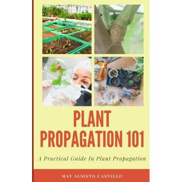 Plant Propagation 101: A Practical Guide In Plant Propagation