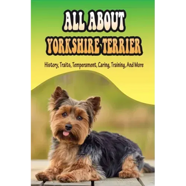 All About Yorkshire Terrier: History, Traits, Temperament, Caring, Training, And More: At What Age Can You Start Training A Yorkie Puppy?