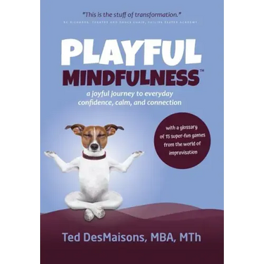 Playful Mindfulness: a joyful journey to everyday confidence, calm, and connection