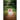 Trespass