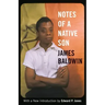 Notes of a Native Son