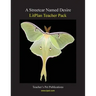Litplan Teacher Pack: A Streetcar Named Desire