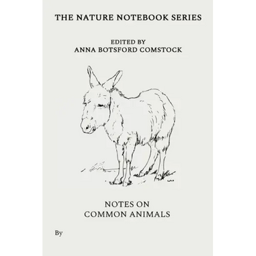 Notes on Common Animals