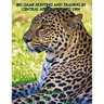 Big-game hunting and trading in Central Africa 1894 to 1904