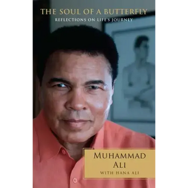 The Soul of a Butterfly: Reflections on Life's Journey