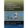 Ecology and Conservation of North American Sea Ducks