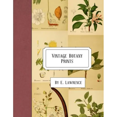 Vintage Botany Prints