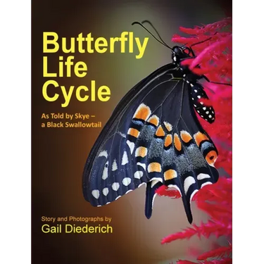 Butterfly Life Cycle: As Told by Skye - a Black Swallowtail