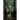 Jewel and the Missing Key to the Vault of Souls