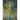Concerning the Book That Is the Body of the Beloved