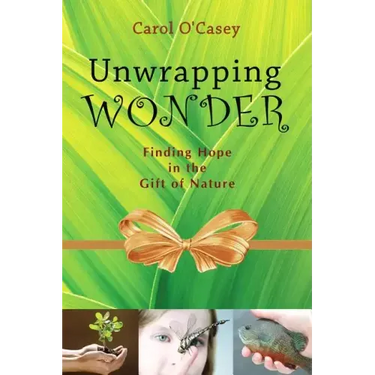Unwrapping Wonder: Finding Hope in the Gift of Nature