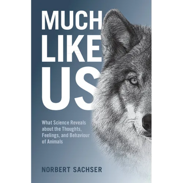 Much Like Us