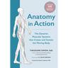 Anatomy in Action: The Dynamic Muscular Systems That Create and Sustain the Moving Body