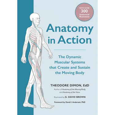 Anatomy in Action: The Dynamic Muscular Systems That Create and Sustain the Moving Body