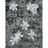 Prevailing Westerlies: Fine Art Photographs
