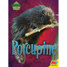 Porcupine