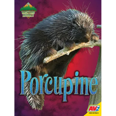 Porcupine