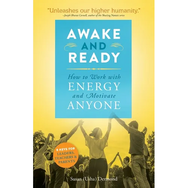 Awake and Ready: How to Work with Energy and Motivate Anyone