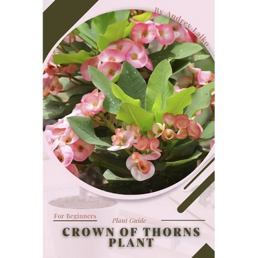Crown of Thorns Plant: Plant Guide