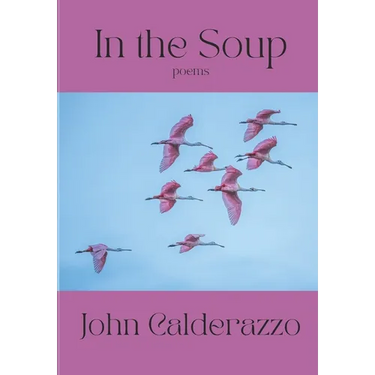 In The Soup