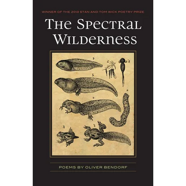 The Spectral Wilderness