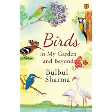 Birds in My Garden and Beyond