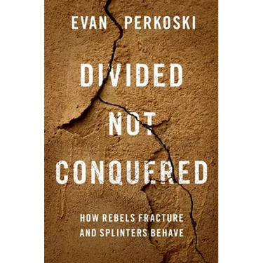 Divided Not Conquered: How Rebels Fracture and Splinters Behave