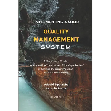 Implementing A Solid Quality Management System: A beginners Guide - Understanding the Context Of The Organization in fulfilling the requirements of IS