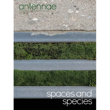 Antennae #56 Spaces and Species