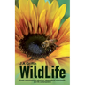 WildLife