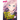 Young Ladies Don't Play Fighting Games Vol. 1