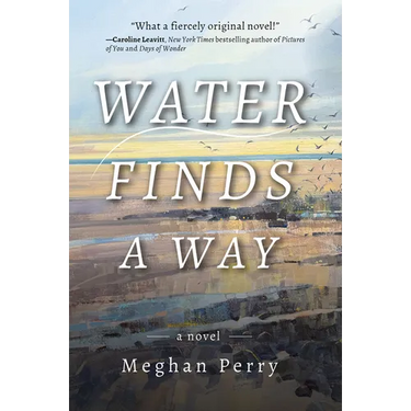 Water Finds a Way a Novel