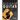 Beginner Guitar: The All-in-One Guide
