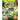 Great Cricket Colour In Compendium