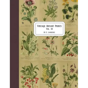 Vintage Botany Prints: Vol. 10